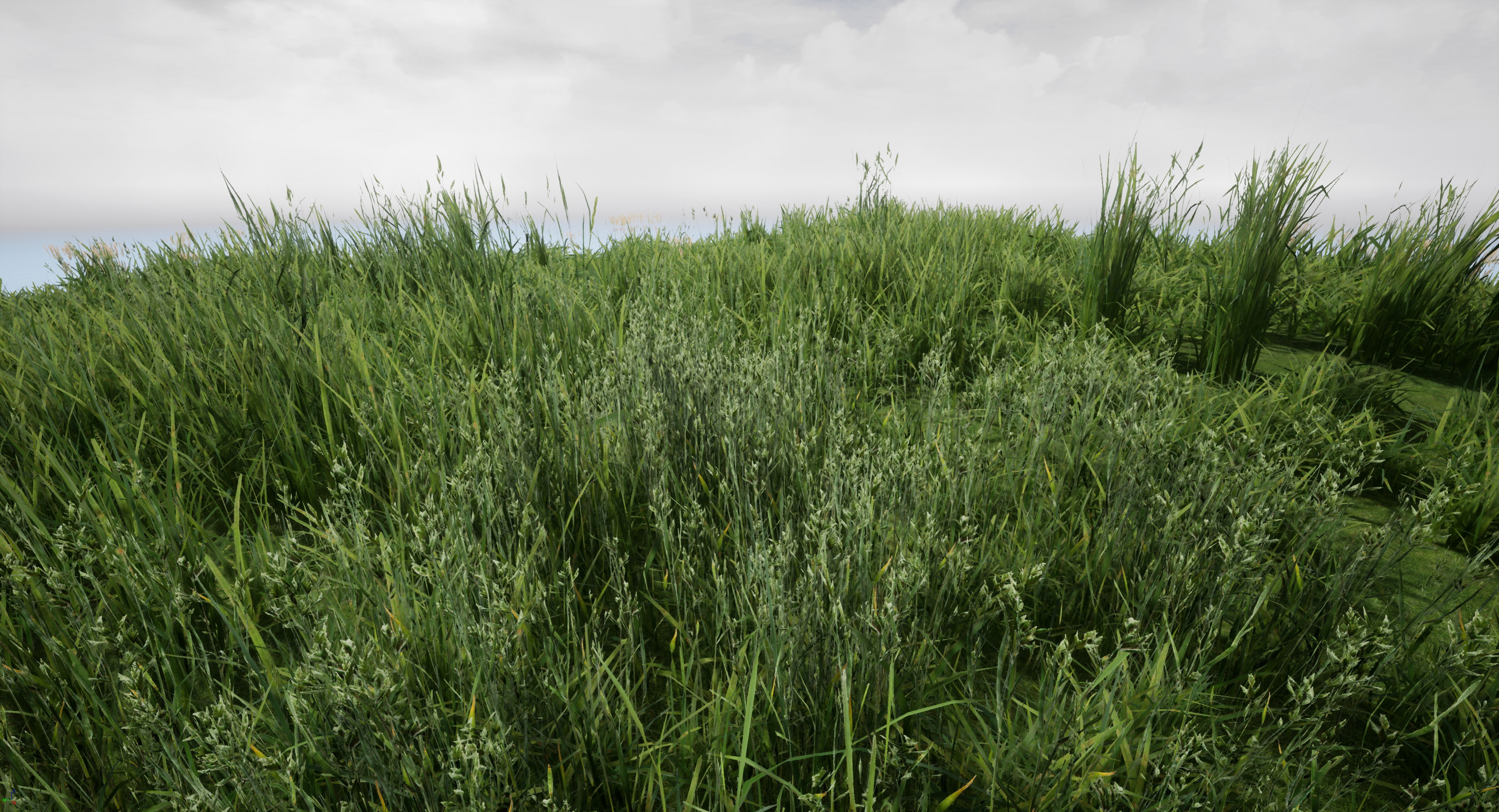 Ue4 grass